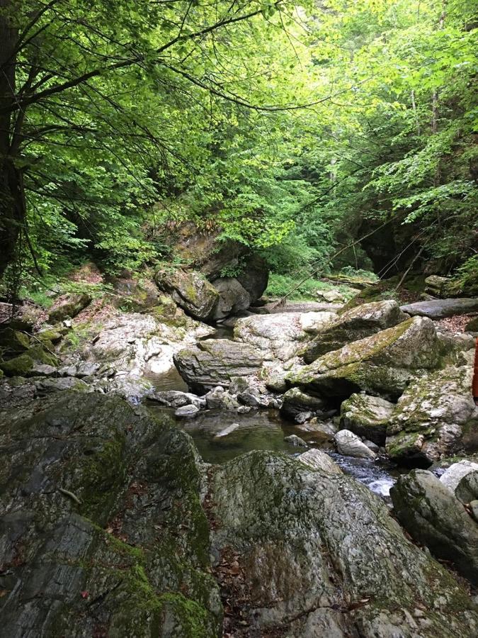 Ferienwohnung Raabklamm Arzberg Bagian luar foto