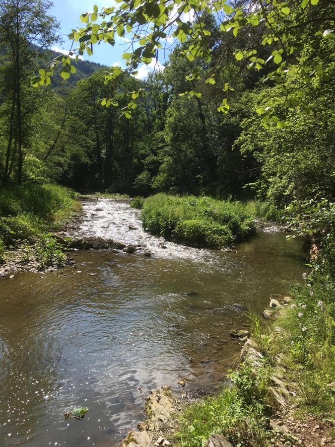 Ferienwohnung Raabklamm Arzberg Bagian luar foto